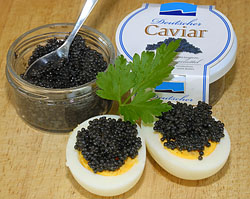 Die Eier des Seehasen sind bekannt als Kaviar-Ersatz